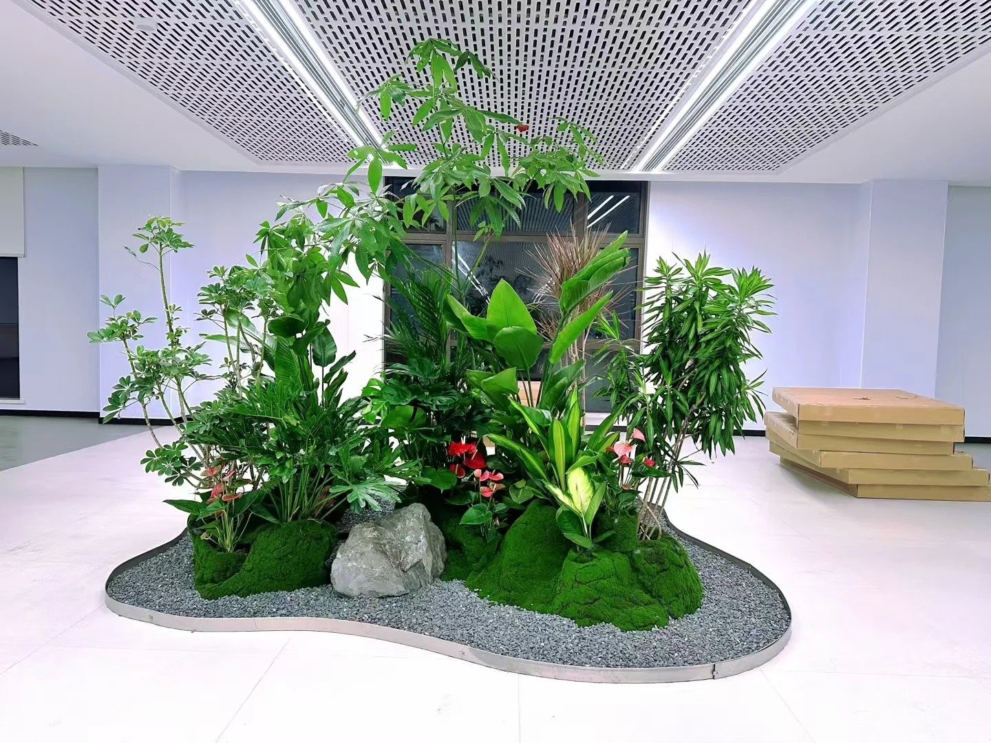 杭州湾绿色植物租用费用-鄞州绿植租摆服务-慈溪室内绿植出租-慈溪花木租摆网站